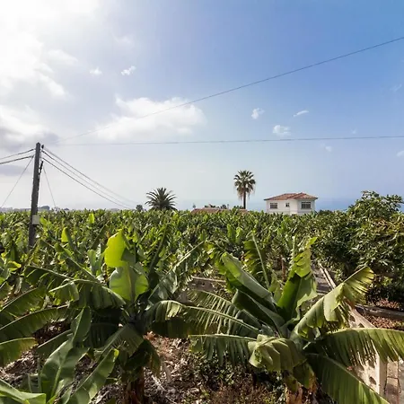 Holiday home Rural House Los Orovales With Terrace And Parking Puerto de la Cruz (Tenerife)