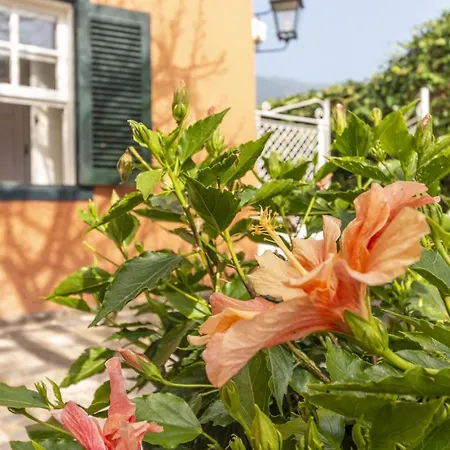 Rural House Los Orovales With Terrace And Parking Holiday home Puerto de la Cruz (Tenerife)